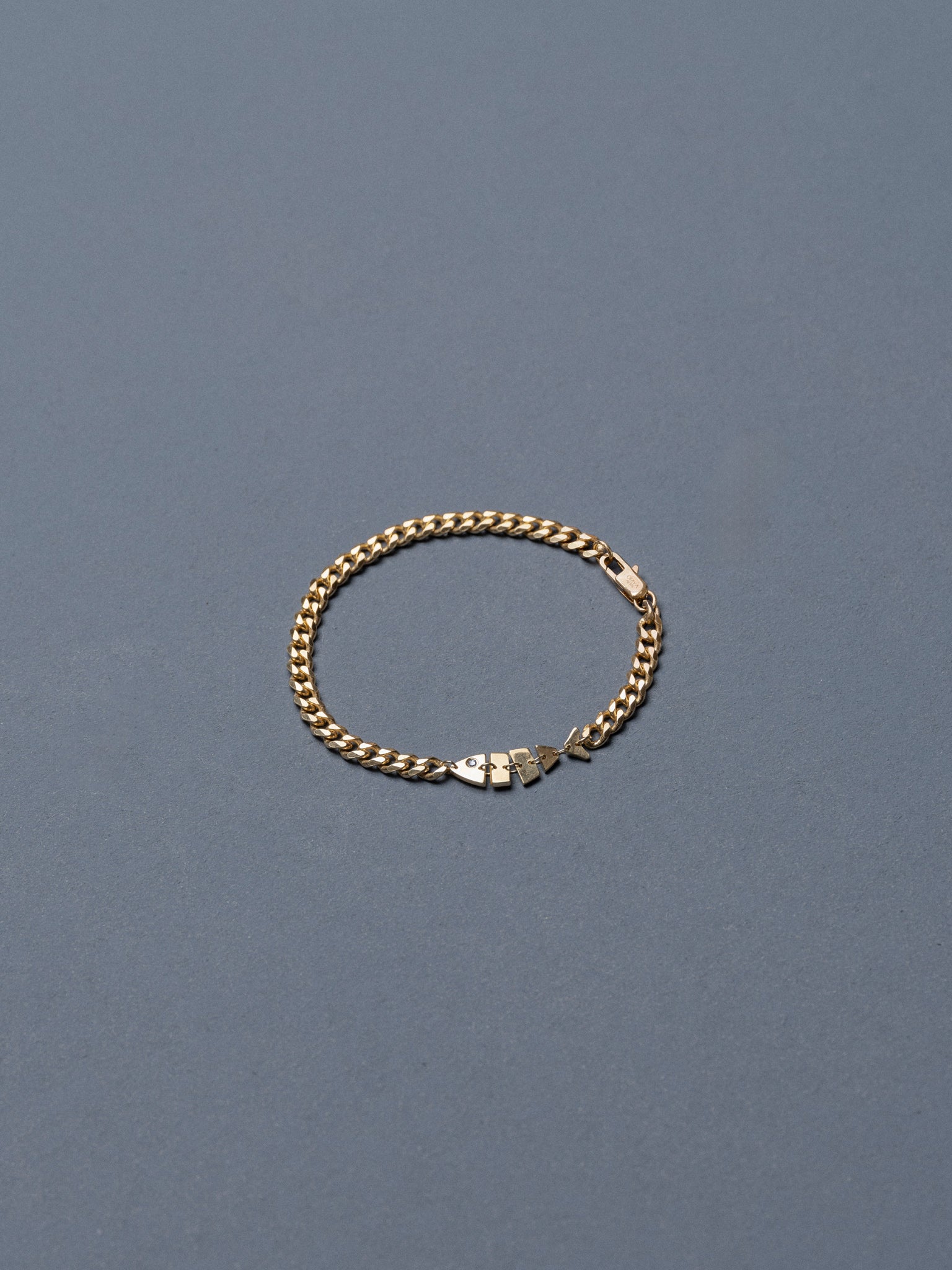 Dagén Bracelet — silver fish charm bracelet — Jewish symbol jewelry — Oriya Jewels