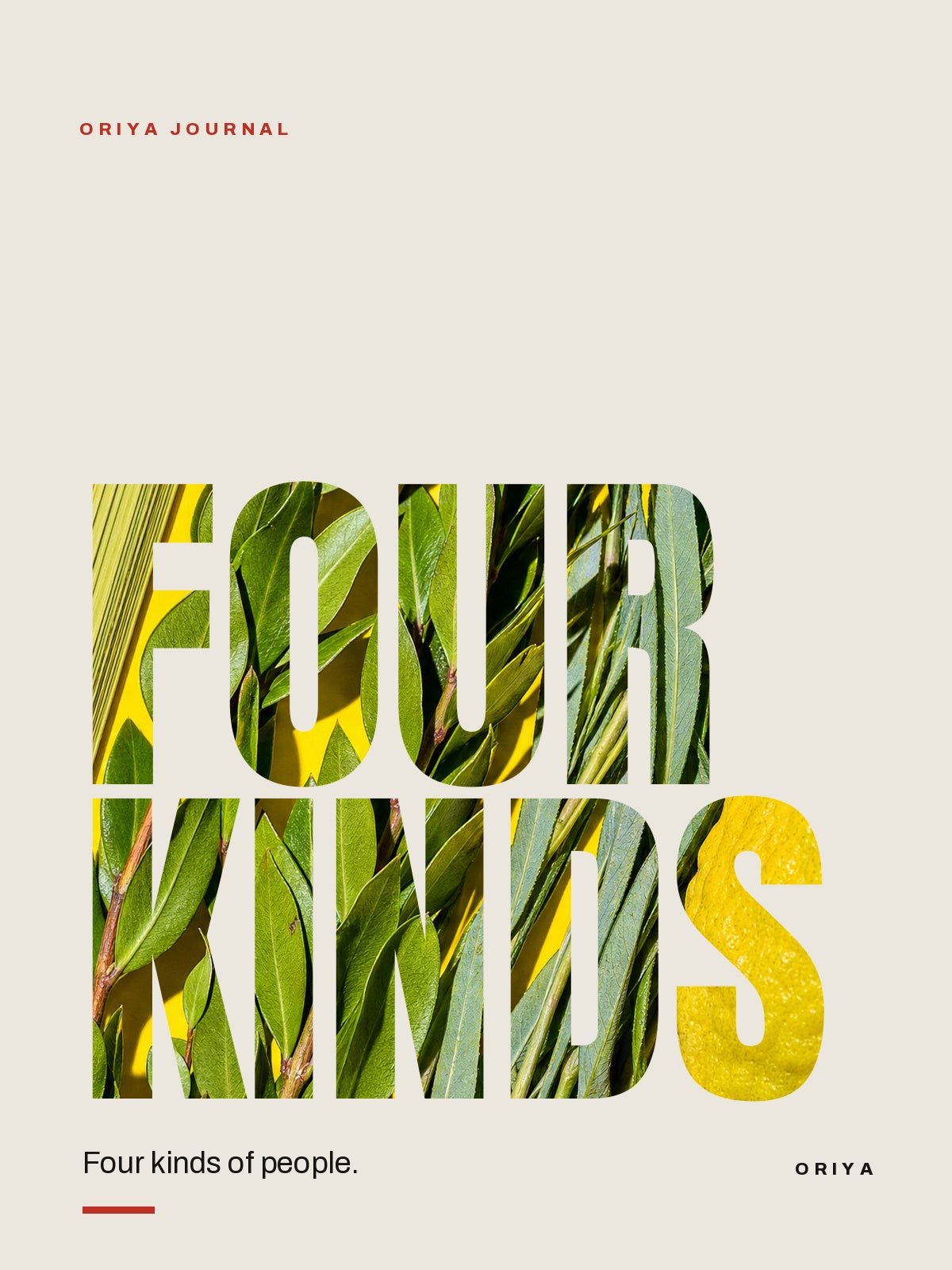 The Four Species of Sukkot — And the Four Kinds of People